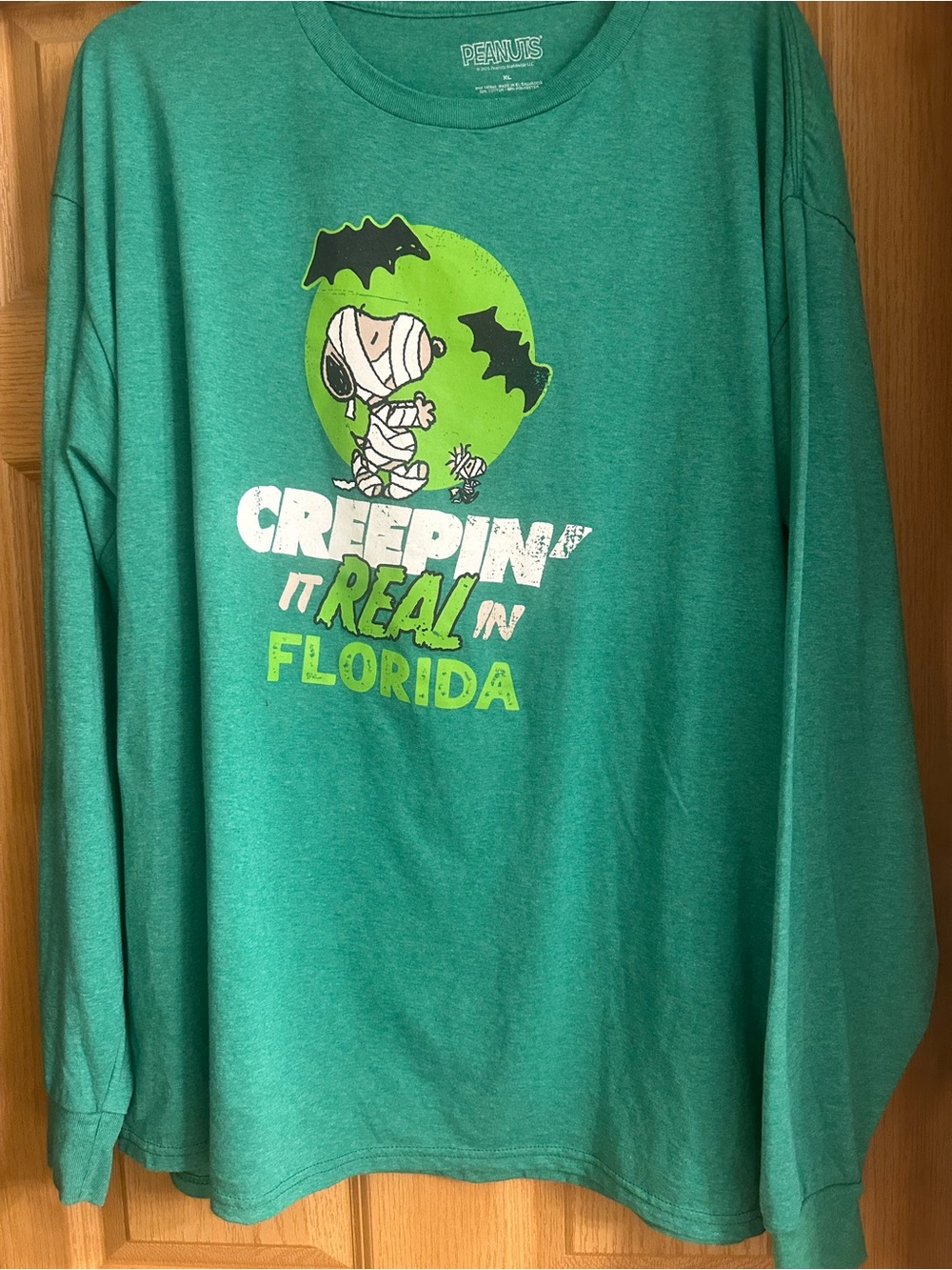 Peanuts Teal Green Long-Sleeve Snoopy Halloween Graphic Tee